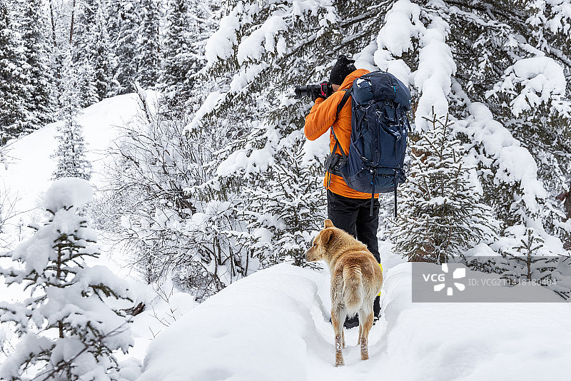 雪地上行走的摄影师和宠物狗的的后视图图片素材