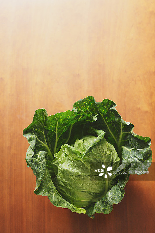 卷心菜图片素材