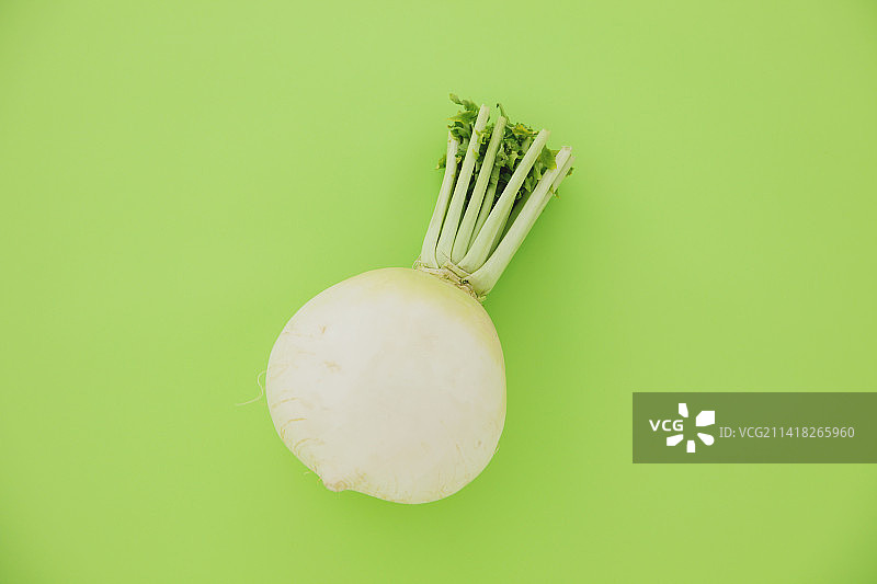 圣护院萝卜图片素材