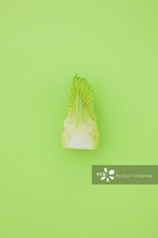 韭菜花图片素材