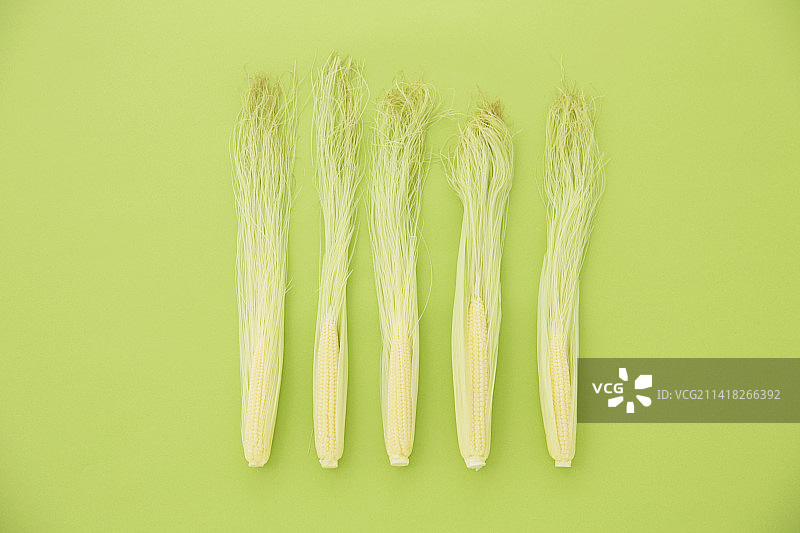 小玉米图片素材