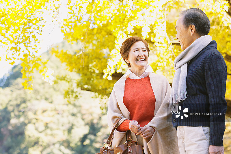 在秋叶季节旅行的年长夫妇图片素材