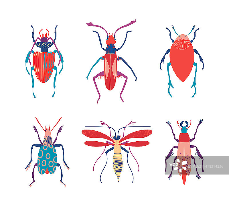 六足飞行和爬行昆虫图片素材