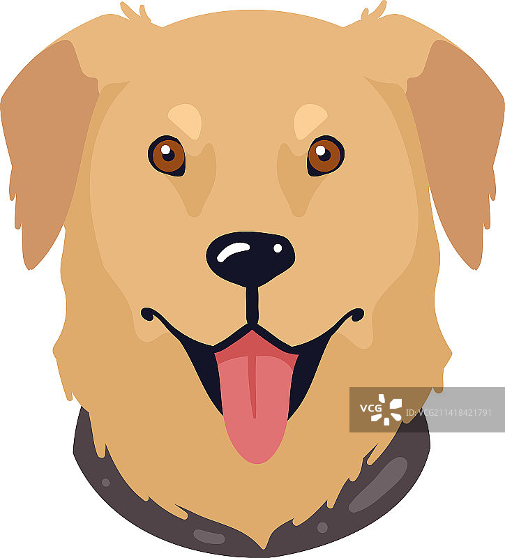 金毛寻回犬吉祥物图片素材