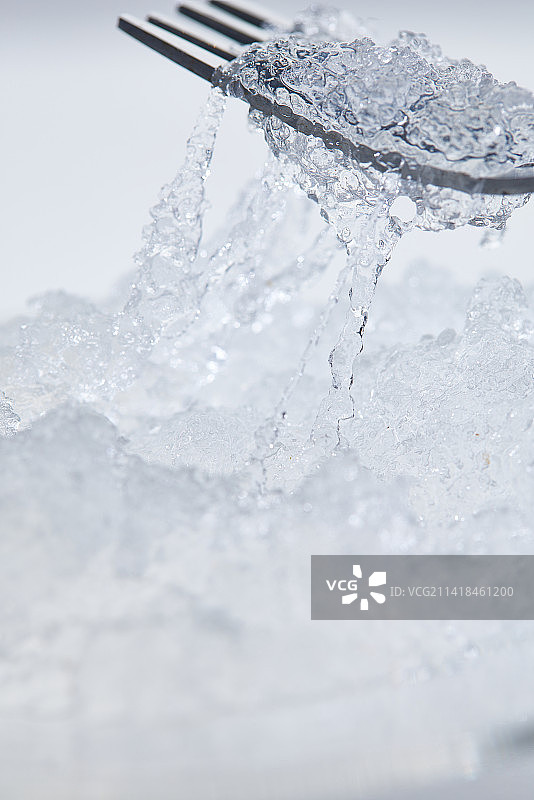 雪燕丝   燕窝丝 特写图片素材