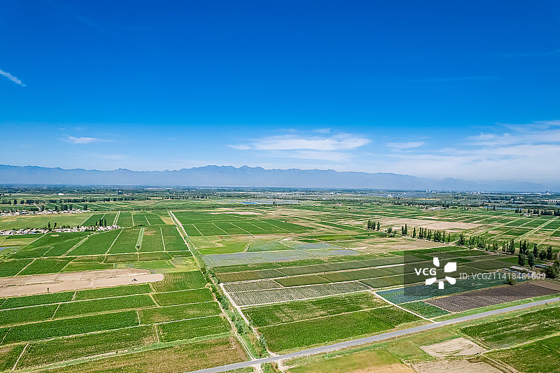 宁夏黄河平原水稻稻田画图片素材