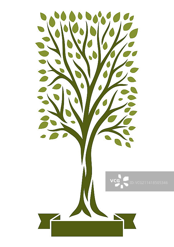 春夏绿叶树木自然风光图片素材