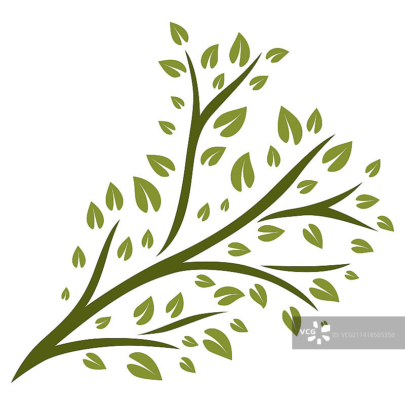 绿叶嫩枝图片素材