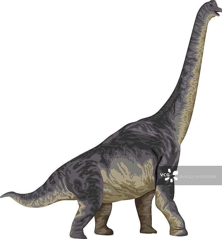 腕龙恐龙史前动物图片素材