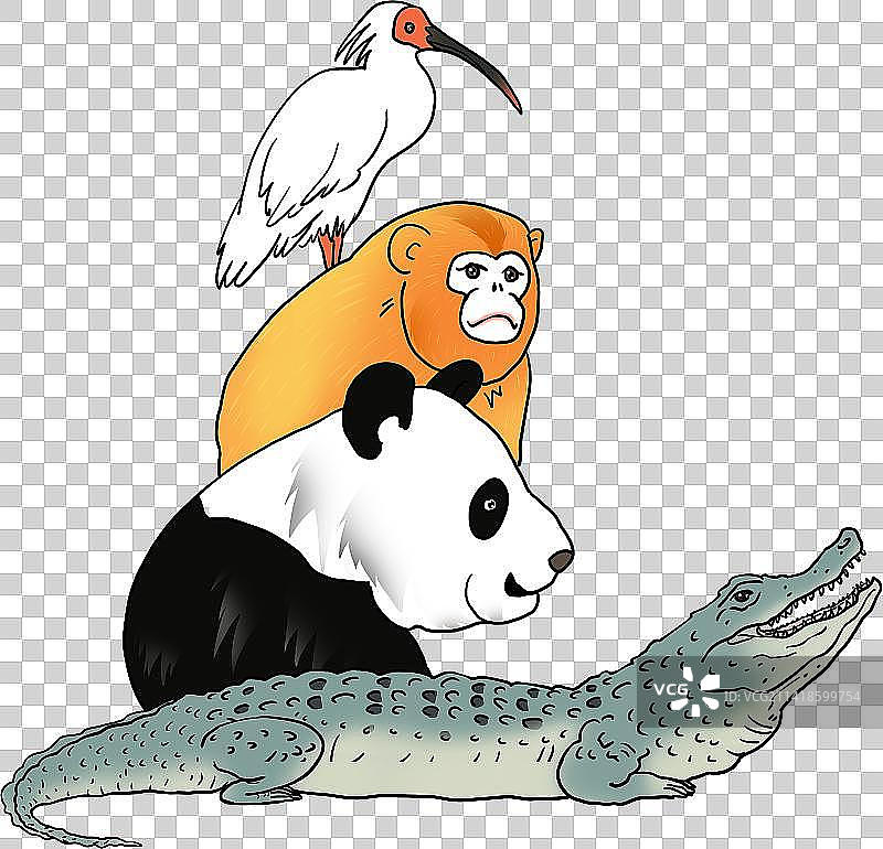 濒危保护动物元素图片素材