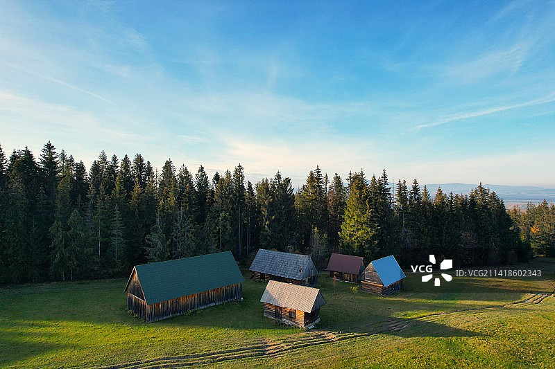 波兰田野树木美景图片素材