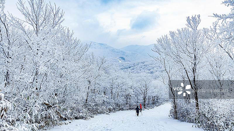 浙江安吉龙王山雪景图片素材