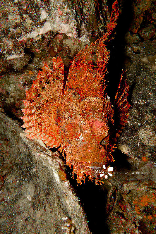 海洋岩层特写图片素材