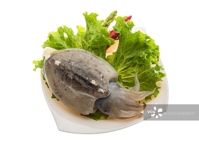 白色背景上的盘中美食特写，罗马尼亚图片素材