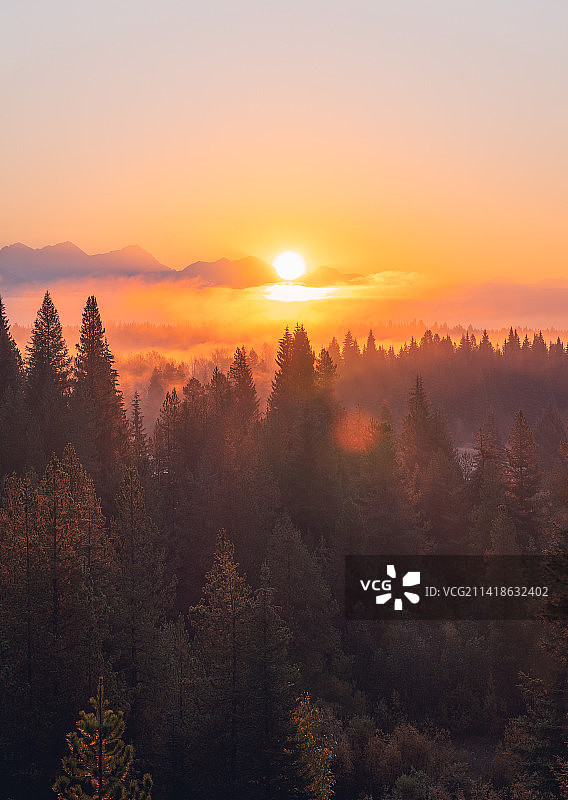 美国蒙大拿州海伦娜日落时分的森林美景图片素材