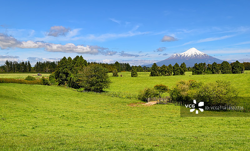 新西兰塔拉纳基的田野风光图片素材