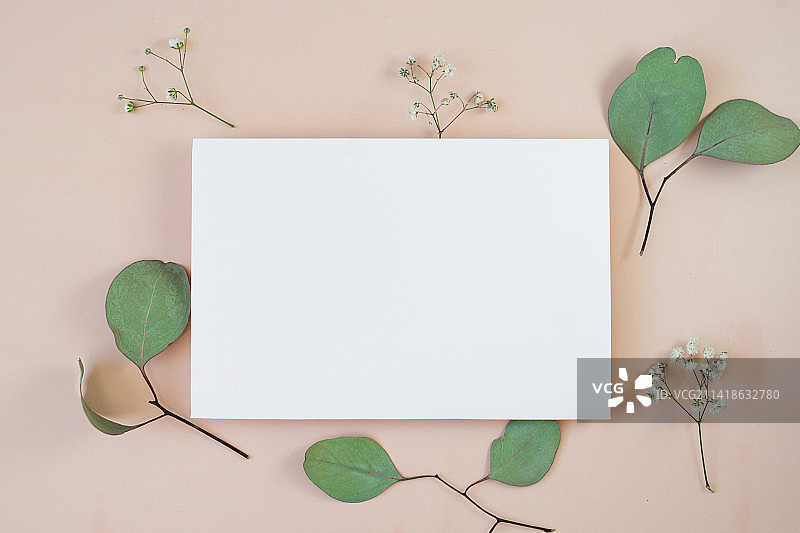 树叶花卉米色背景卡片设计图片素材
