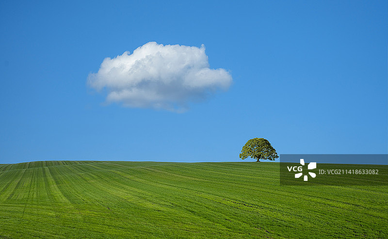 绿色草地和天空的景观图片素材