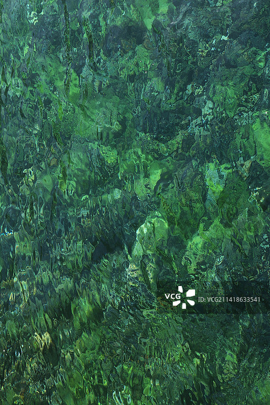 阿根廷安戈斯图拉镇森林树木全景照片图片素材