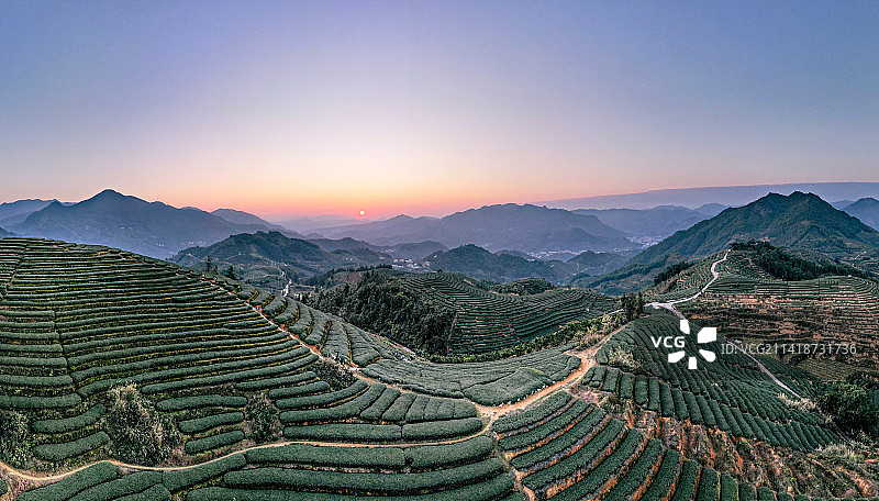 情寄相思·寻觅茶山万里图片素材