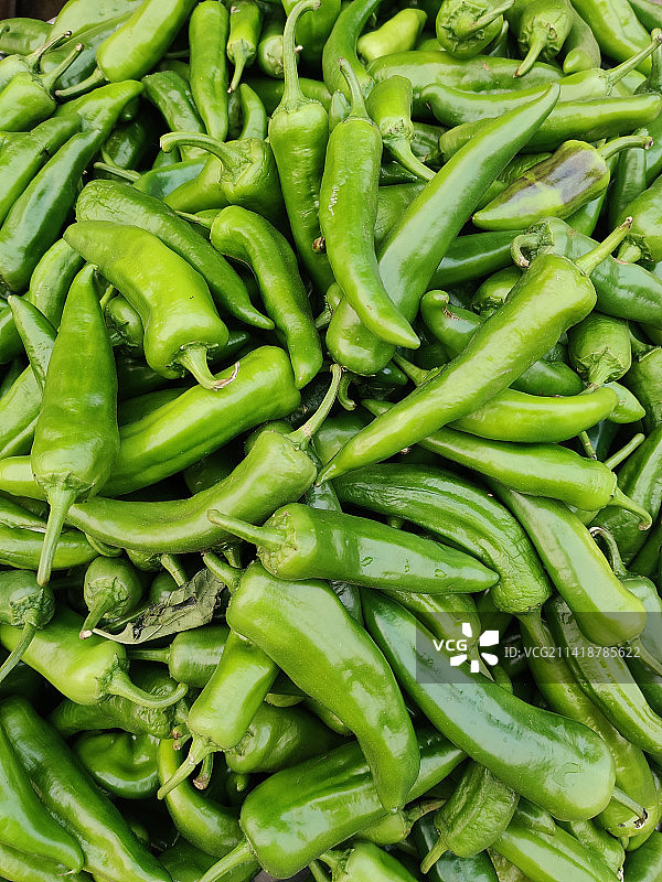 在售的红色和绿色新鲜辣椒图片素材