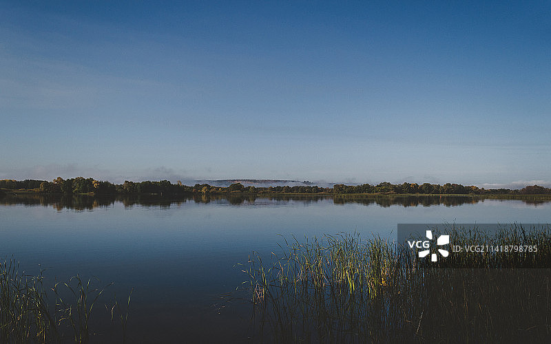 美国湖畔美丽的清晨景观图片素材