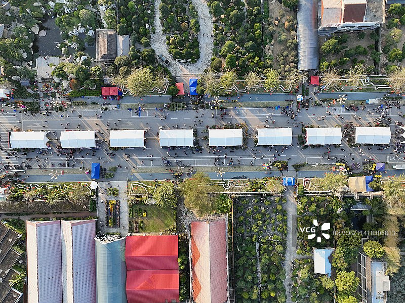 2023陈村花卉世界迎春花市图片素材