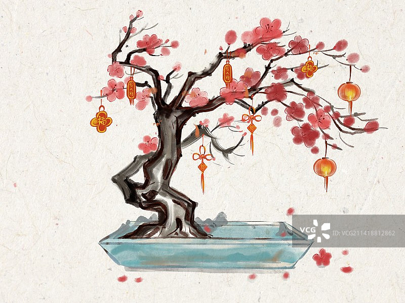 梅花盆栽图片素材