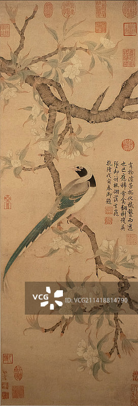 北京中国国家博物馆梨花山雀图元代佚名91.5X30.7cm普林斯顿大学艺术博物馆藏品图片素材