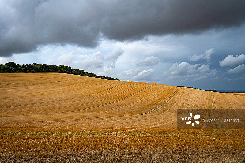 英国沃灵福德尤厄尔姆的田园风光图片素材