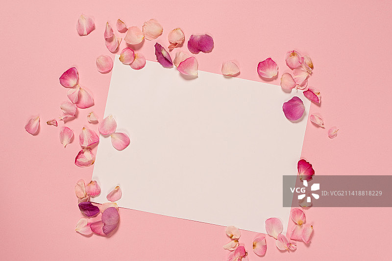 粉色背景上鲜花组成的心形俯视图，俄罗斯图片素材