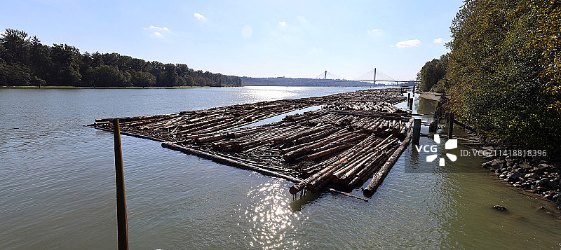 加拿大不列颠哥伦比亚省弗雷泽河的木筏图片素材