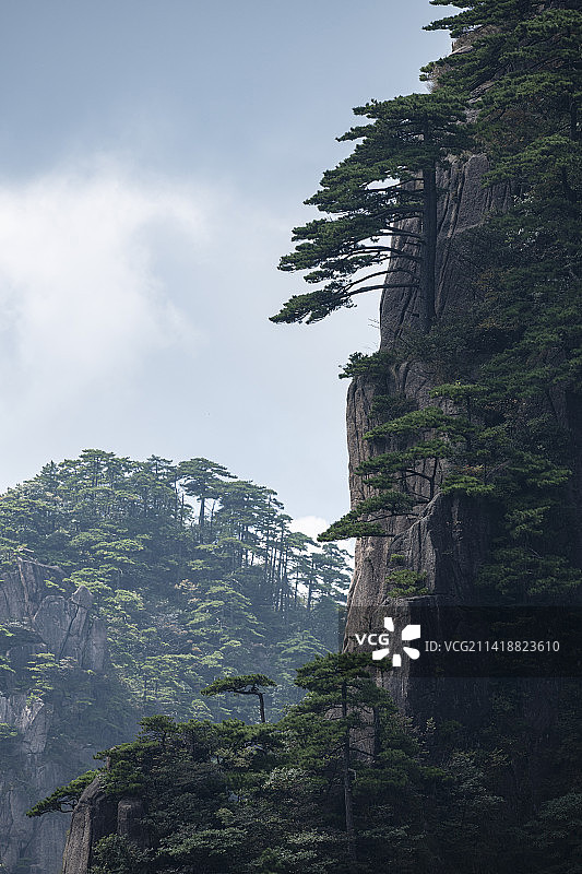 世界文化与自然遗产安徽黄山自然风光图片素材