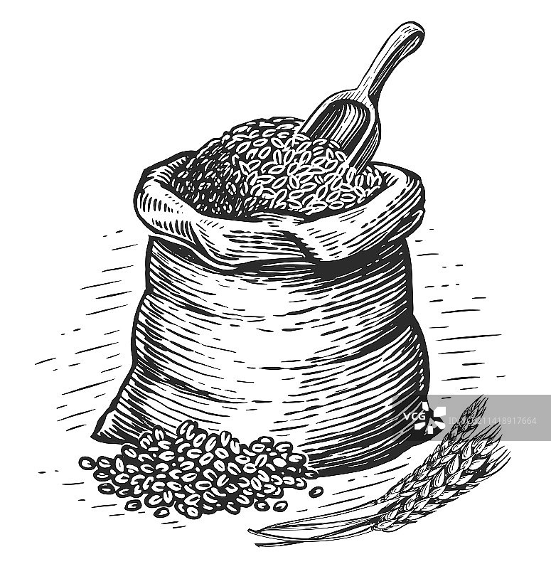 装满小麦的麻袋素描图片素材