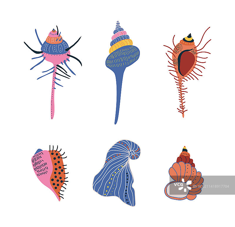 涂鸦风格装饰性贝壳图片素材