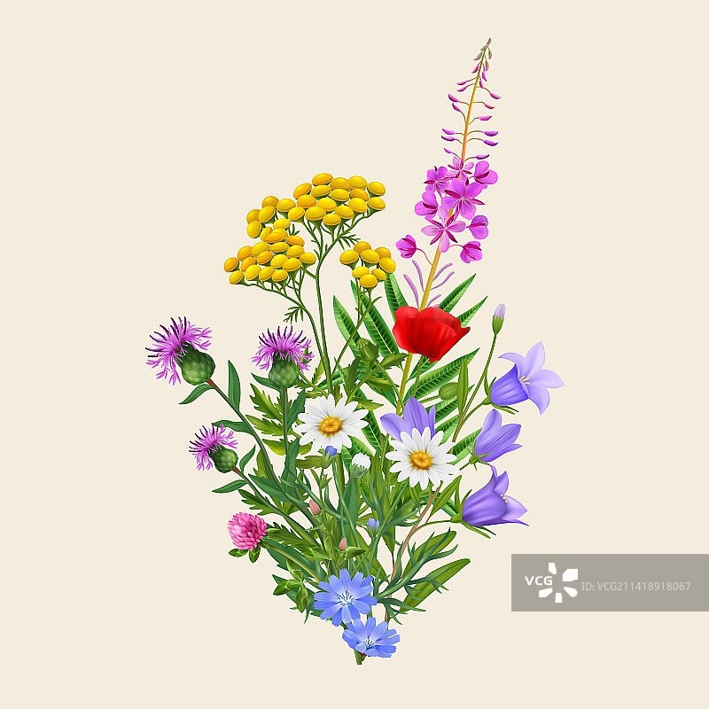 逼真的野花花束图片素材