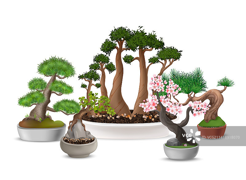 盆景树组合图片素材