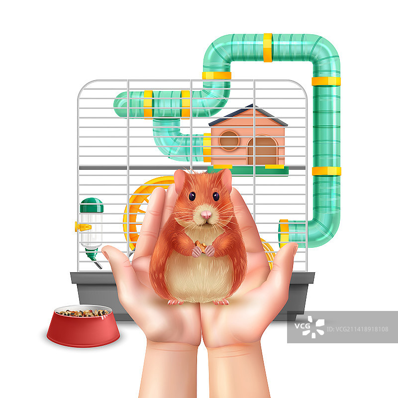 逼真的仓鼠构图图片素材