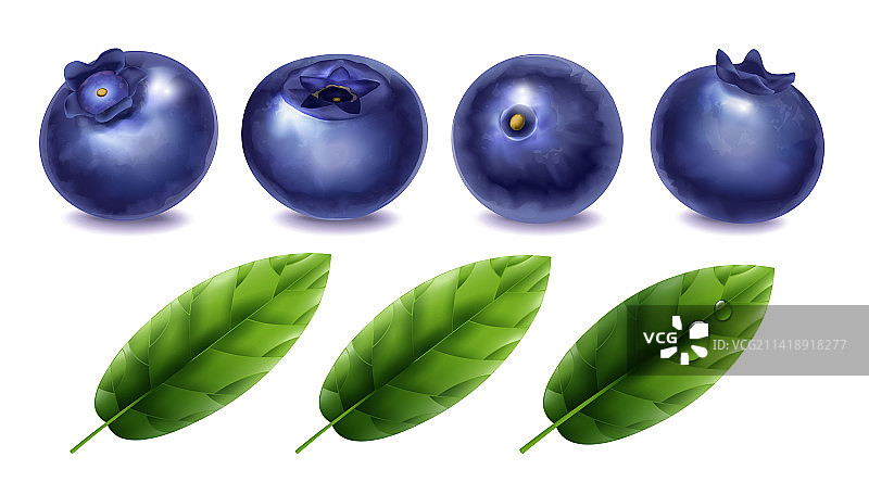 蓝莓写实素材图片素材