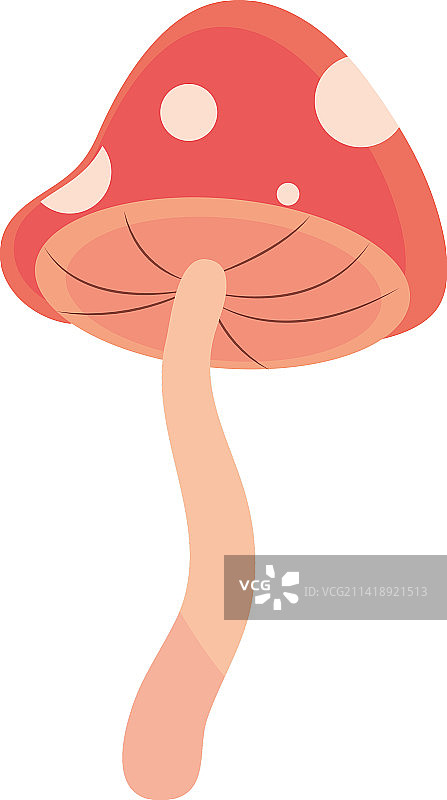 野生蘑菇图标图片素材