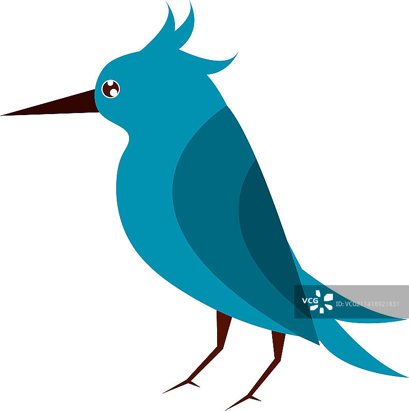 可爱的蓝色小鸟图片素材