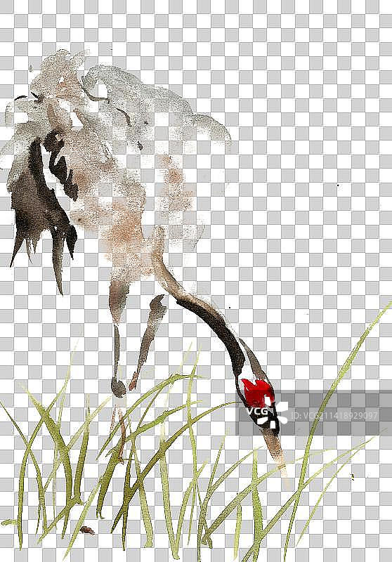 草丛中的水鸟图片素材