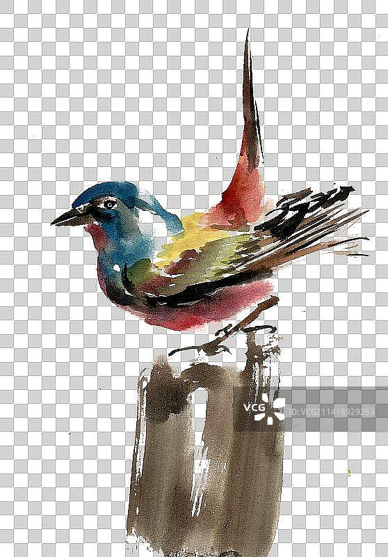 树桩上的小鸟图片素材