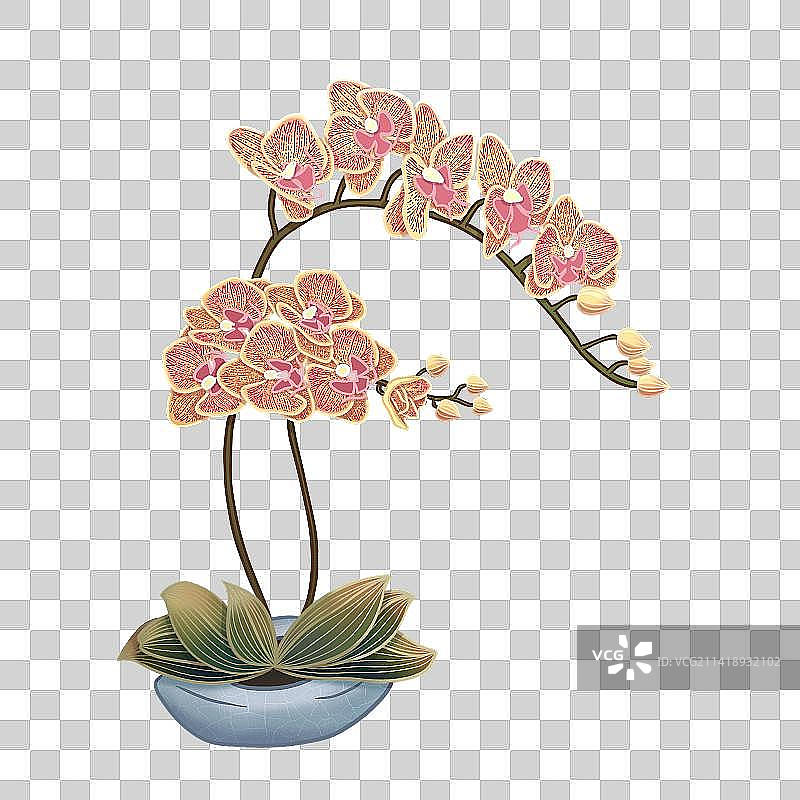 蝴蝶兰国风线性插画免抠元素图片素材