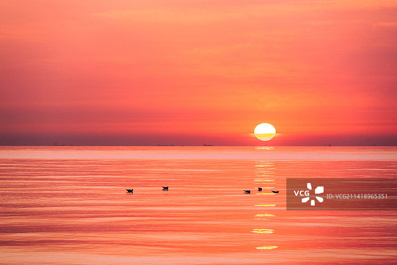 天津东疆湾日出图片素材