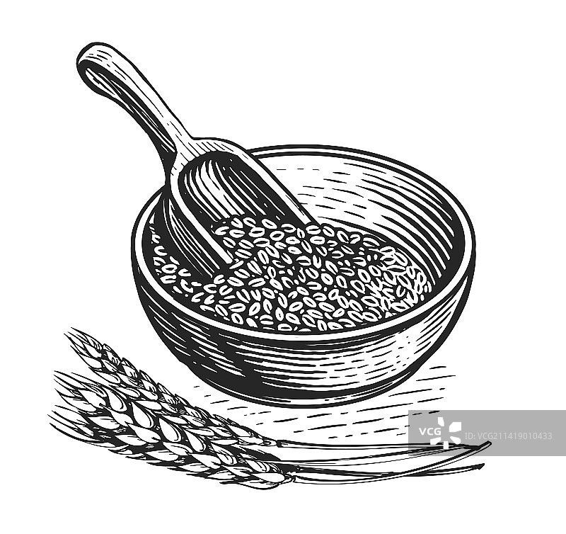 健康食品早餐粥碗素描图片素材