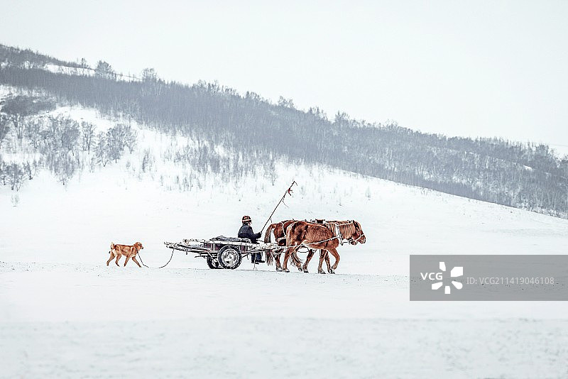 赶集  ·   2013年12月摄于内蒙图片素材