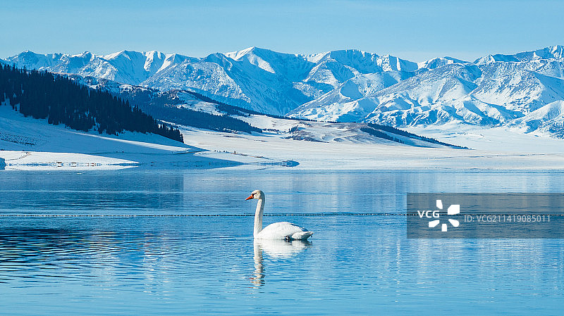 冬季赛里木湖蓝冰雪山风光航拍图片素材