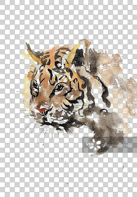 威武的小老虎图片素材