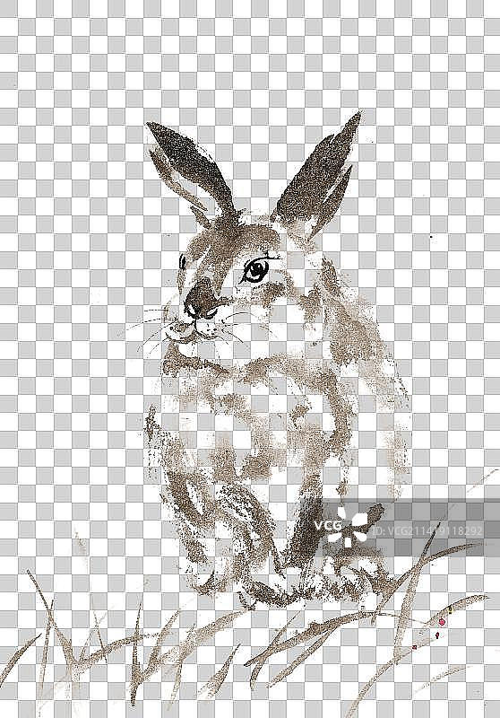 草地上的兔子图片素材